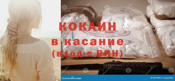 индика Осинники