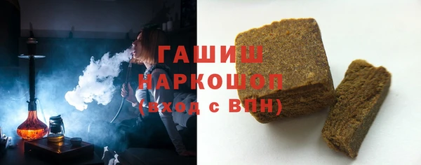 индика Осинники