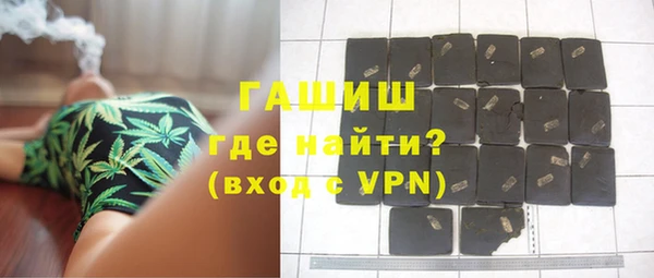 индика Осинники