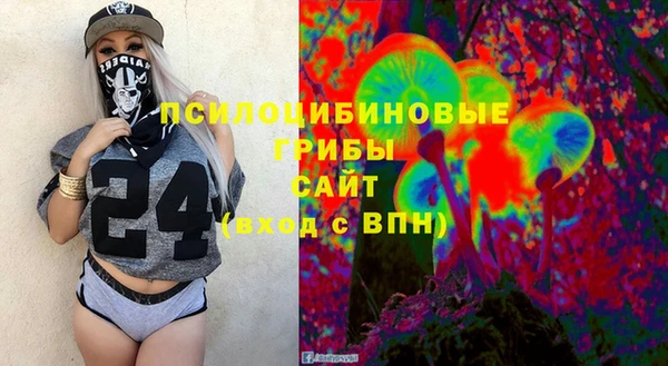 индика Осинники