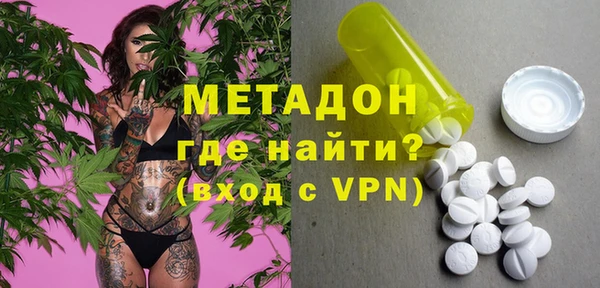 индика Осинники