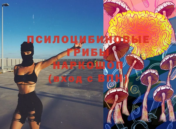 2c-b Няндома