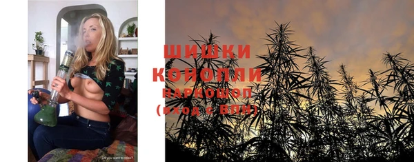 индика Осинники