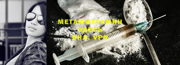 индика Осинники