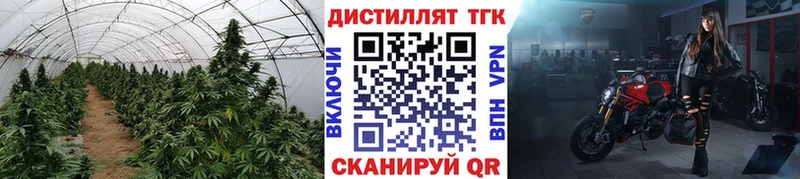 ТГК THC oil Купить закладки Дмитров